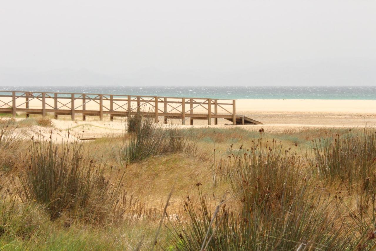 Los Lances Tarifa - Piscina Y Patio Dış mekan fotoğraf