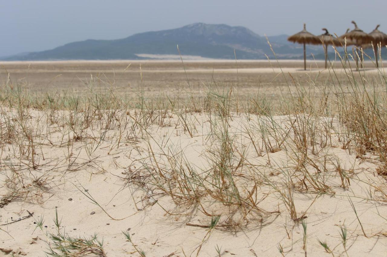 Los Lances Tarifa - Piscina Y Patio Dış mekan fotoğraf